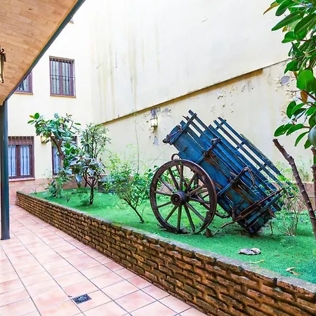 Alohamundi Pureza Iii Seville